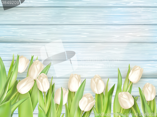 Image of Bouquet of white tulips. EPS 10