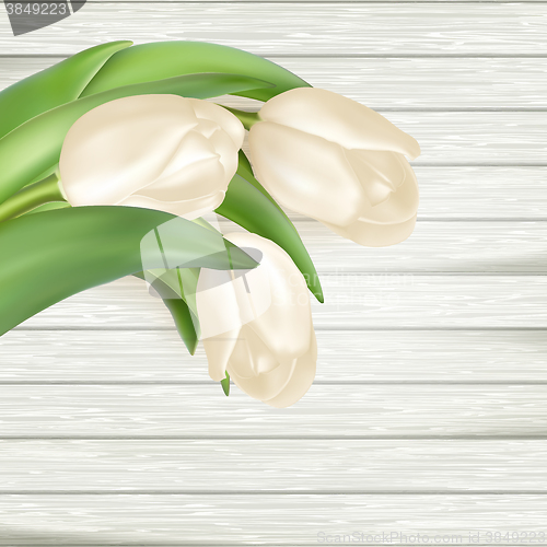 Image of Bouquet of white tulips. EPS 10