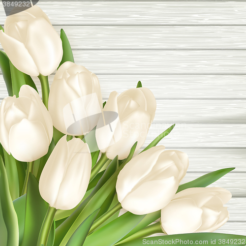 Image of Bouquet of white tulips. EPS 10