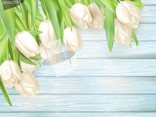 Image of Fresh white tulips on wood planks. EPS 10