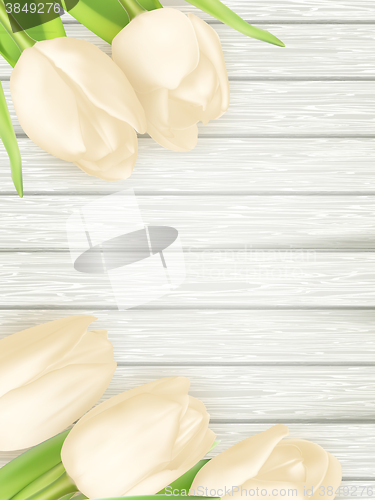 Image of Bouquet of white tulips. EPS 10