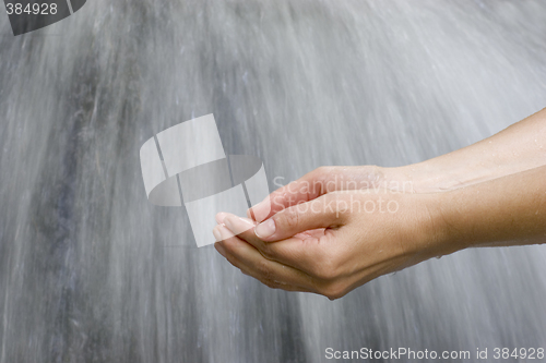 Image of Hands scooping water