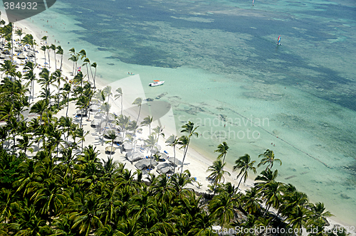 Image of Tropical beach with palms and white sand