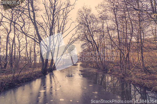 Image of Frozen river in a forest