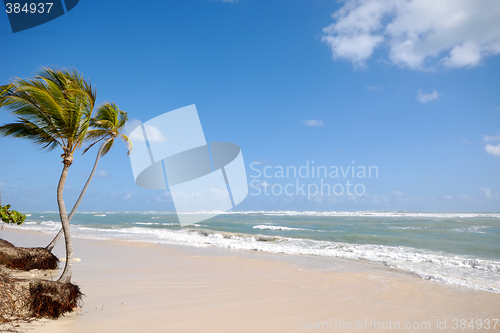 Image of Beach in the tropical caribbean