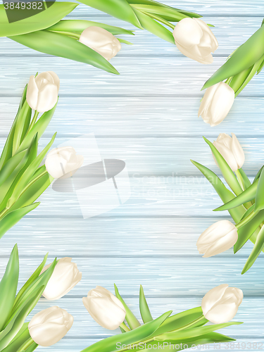 Image of Bouquet of white tulips. EPS 10