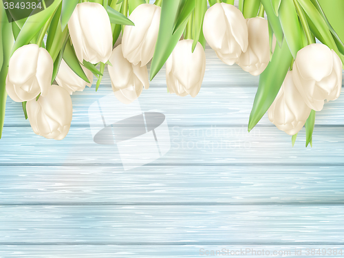 Image of White tulips on turquoise wooden back. EPS 10