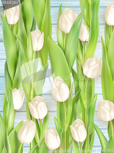 Image of Bouquet of white tulips. EPS 10
