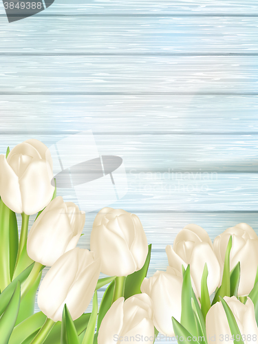 Image of Bouquet of white tulips. EPS 10