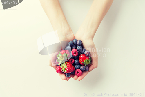 Image of close up of woman hands holding berries