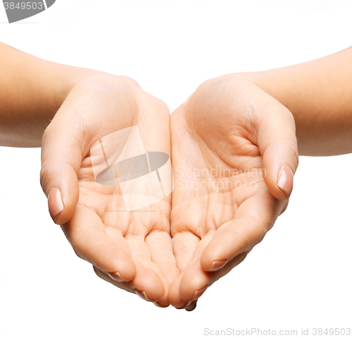 Image of close up of womans cupped hands