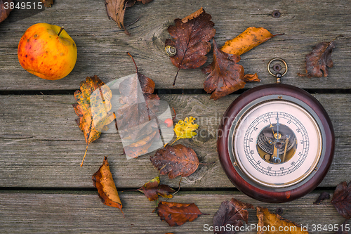Image of Barometer in the autumn