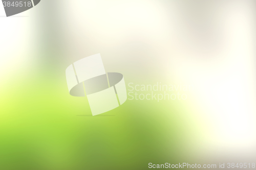 Image of Blurry green background in the spring
