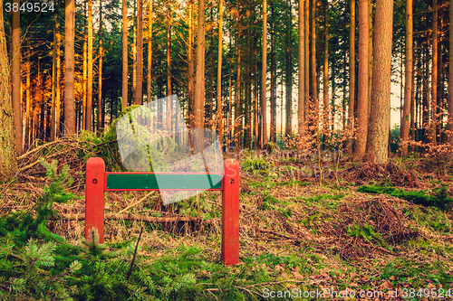 Image of Sign in a pine forest