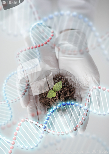 Image of close up of scientist hands with plant and soil