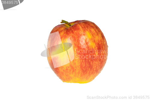 Image of Red apple on white background