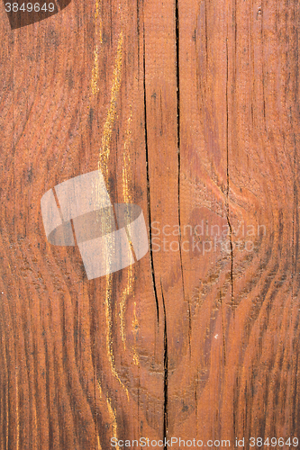 Image of Closeup of wood texture 