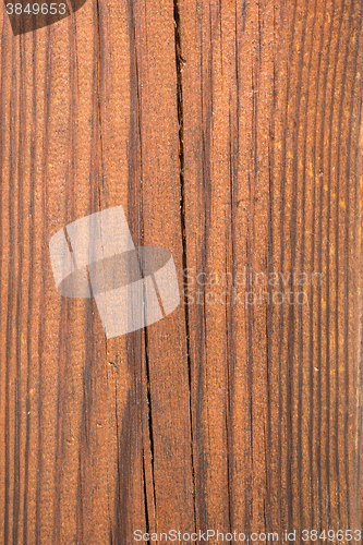 Image of Closeup of wood texture 