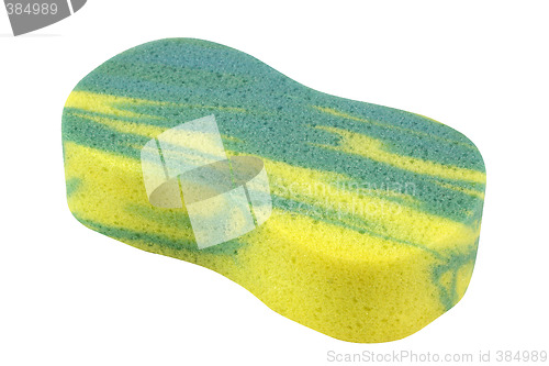 Image of Colorful Sponge