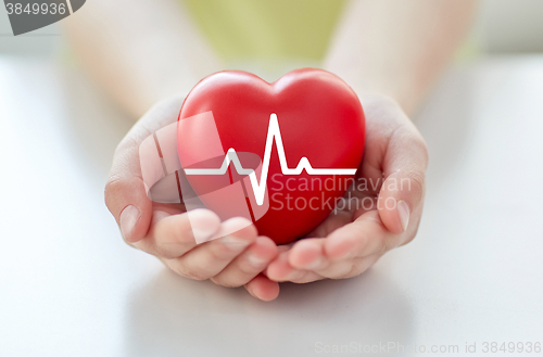Image of close up of hand with cardiogram on red heart