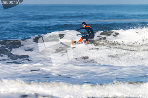 Image of Surfing the waves