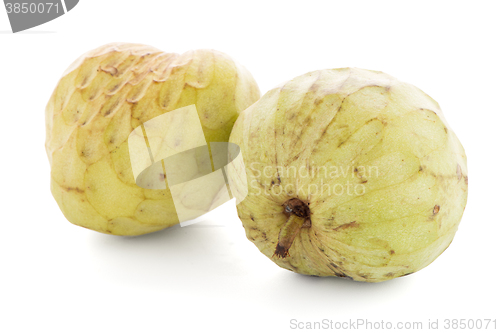 Image of Sugar Apple or Custard Apple