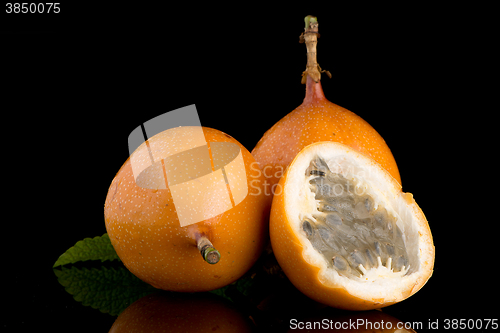 Image of Passion fruit maracuja granadilla