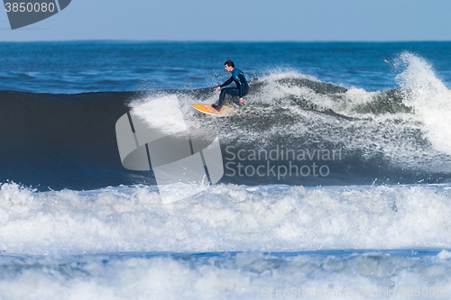 Image of Surfing the waves