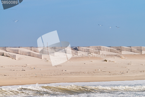 Image of Sandy beach and dunes in Portugal