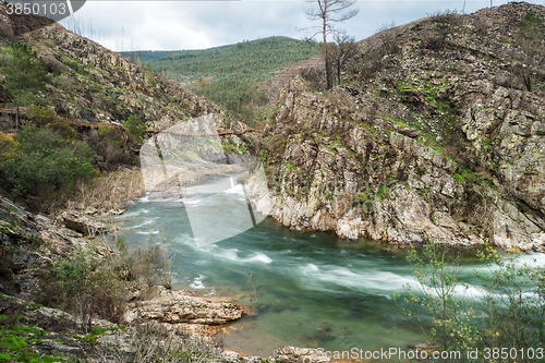 Image of Paiva river