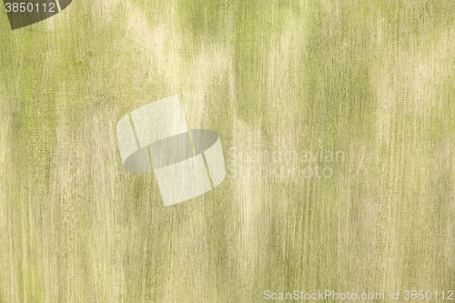 Image of Green painted artistic canvas