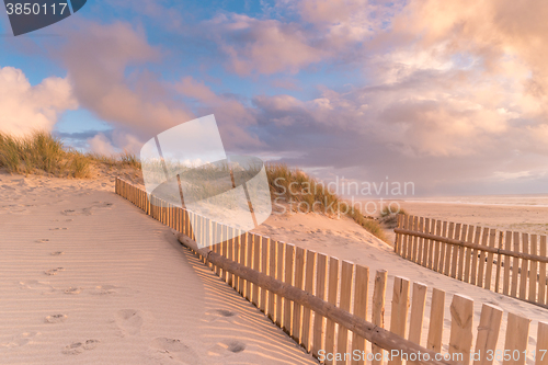 Image of Dune Fence on Beach
