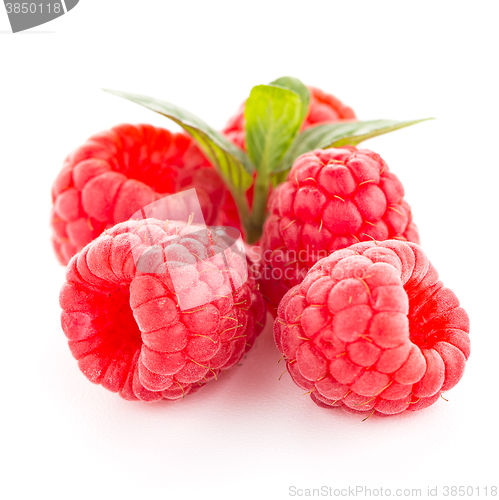 Image of Raspberry fruit isolated