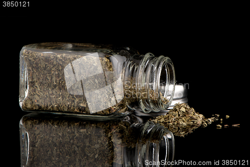 Image of Oregano shakers