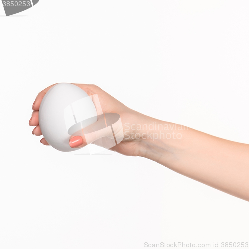 Image of The female hand holding white blank styrofoam oval 