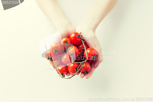 Image of close up of woman hands holding cherry tomatoes