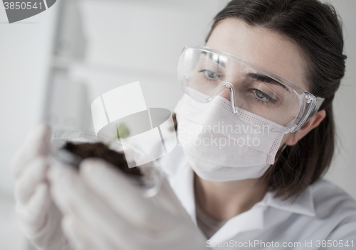 Image of close up of scientist with plant and soil in lab