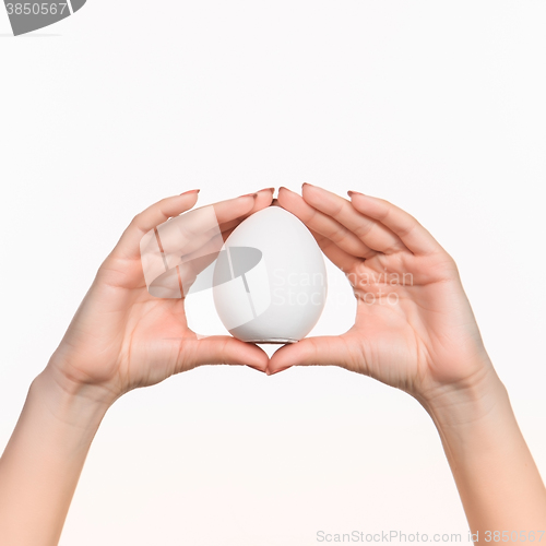 Image of The female hand holding white blank styrofoam oval 