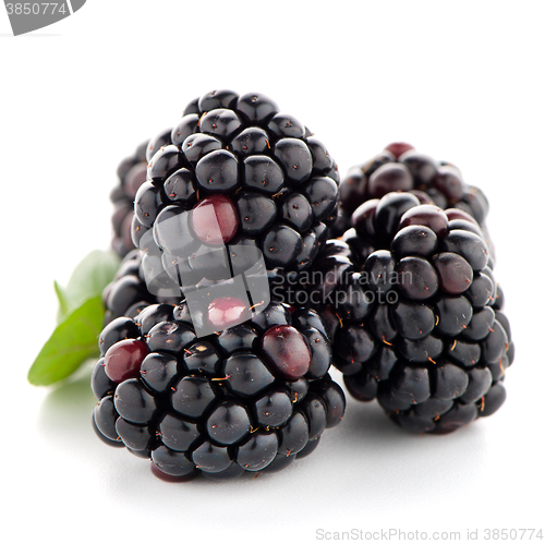 Image of Blackberries with leaves