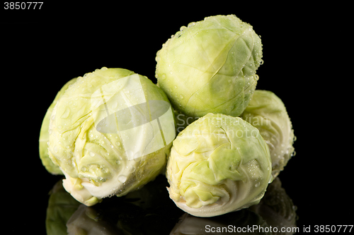 Image of Fresh brussels sprouts