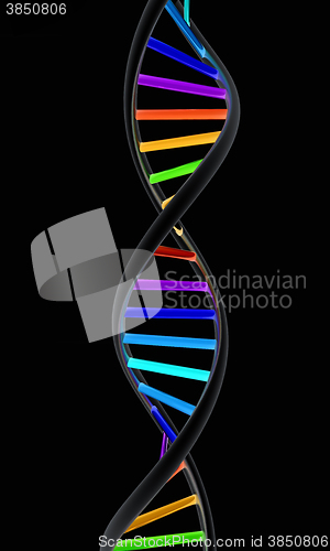 Image of DNA structure model