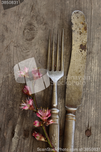 Image of Old flatware