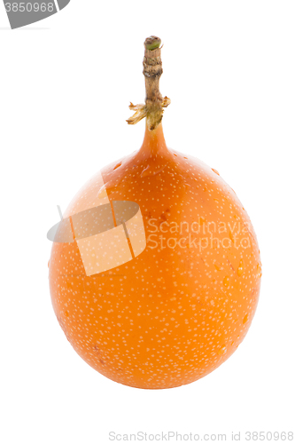 Image of Passion fruit maracuja granadilla