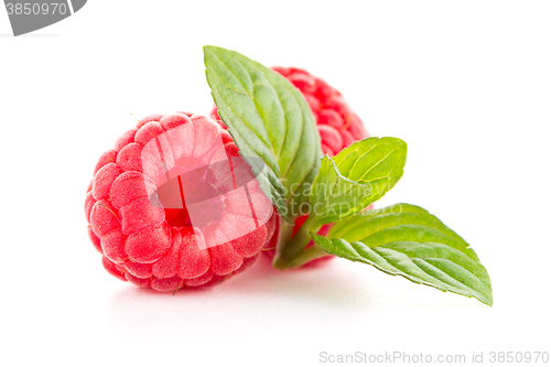 Image of Raspberry fruit isolated