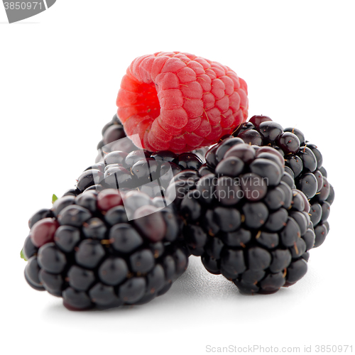 Image of Raspberry with blackberry 