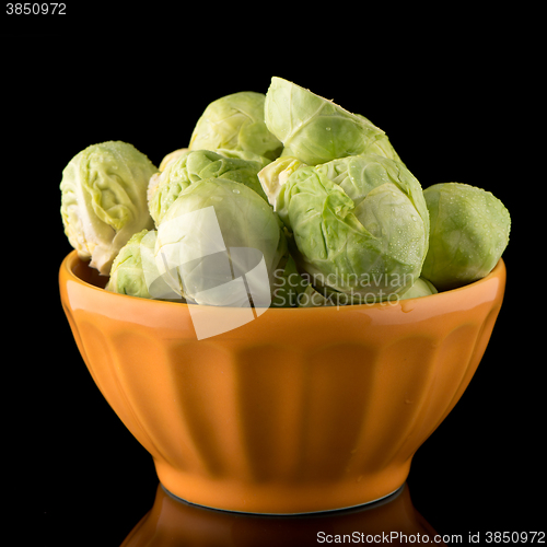 Image of Fresh brussels sprouts