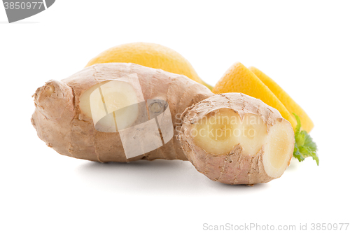 Image of Ginger root on white