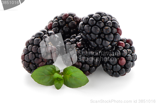 Image of Blackberries with leaves