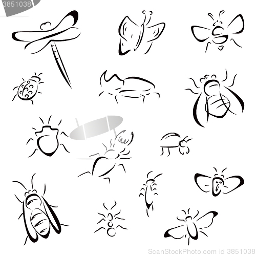 Image of Set of bugs