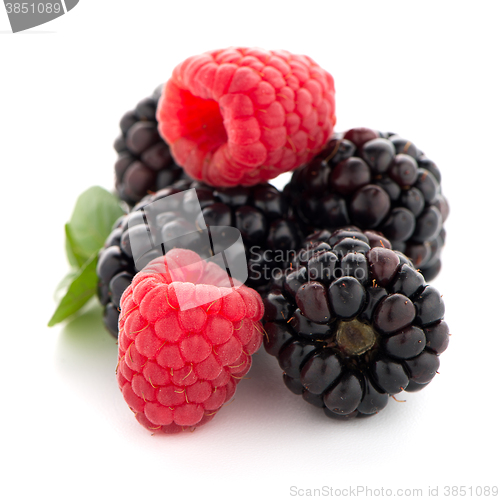 Image of Raspberry with blackberry 